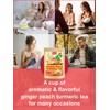 TeeLux Ginger Peach Turmeric Tea Bags, Warm Ginger with Tart