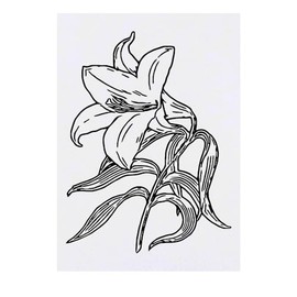 'White Lily Flower' Temporary Tattoo - Water Resistant, Skin-Safe, Non-Toxic Transfer (TO00072791)