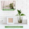 Baderke 35 Pcs Plastic Plant Propagation Station Desktop Terrariums Plant