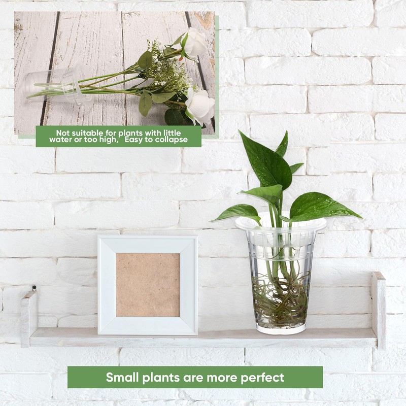 Baderke 35 Pcs Plastic Plant Propagation Station Desktop Terrariums Plant