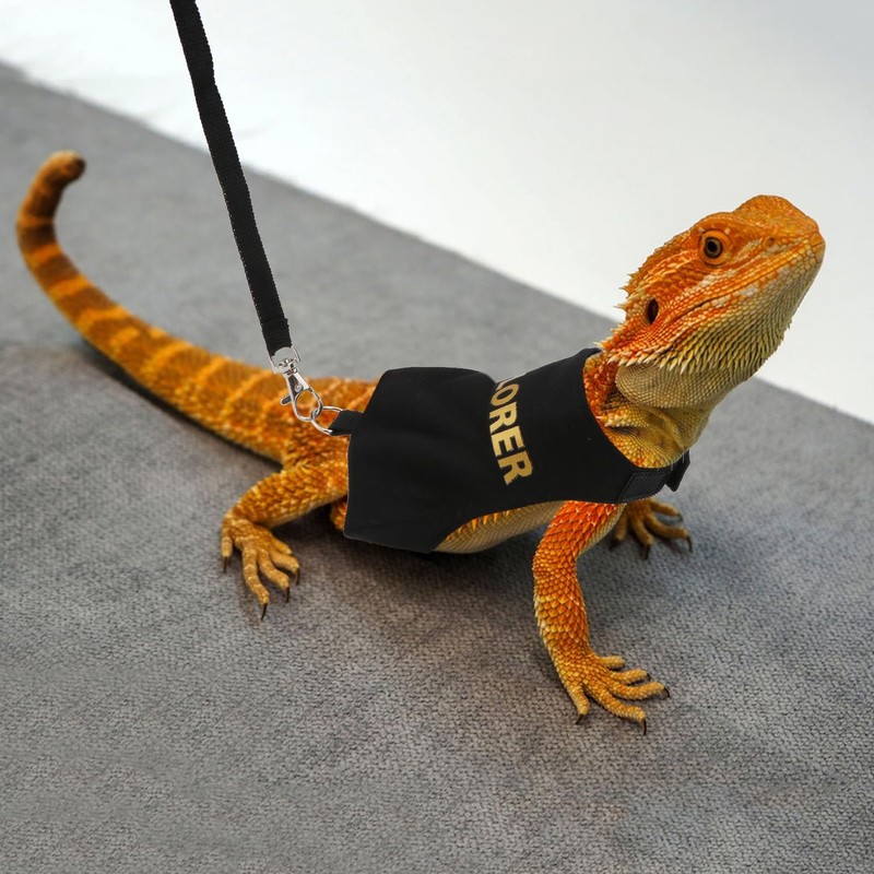 Hypeety Bearded Dragon Harness and Leash Set Adjustable Escape Proof