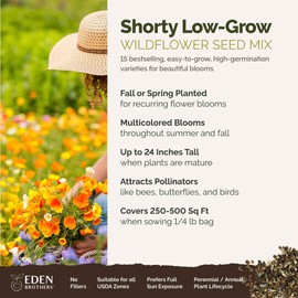 Eden Brothers Shorty Low Grow Wildflower Mixed Seeds for Planting, 1/4 lb, 120,000+ Seeds with Calendula, Cornflower | Attracts Pollinators, Plant in Spring or Fall, Zones 3, 4, 5, 6, 7, 8, 9, 10