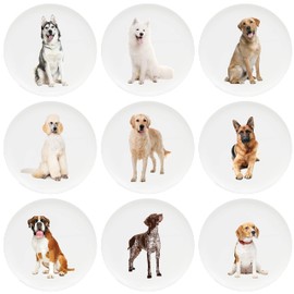 Youngever 10 Inch Plastic Plates, Large Plates, Dinner Plates, Set of 9 (Dog Theme)