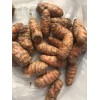 Turmeric Roots 10 Fresh Turmeric Roots Curcuma Longa Ready To