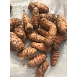 Turmeric Roots 10 Fresh Turmeric Roots Curcuma Longa Ready To Plant