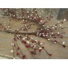 Gorgeous Primitive 55" Cream and RED Pip Rice Berry Garland