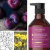 Theorie: Sage - Helichrysum & Plum - Nourishing Shampoo -