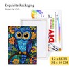 Natuyalo Framed Paint by Numbers Kit for Adults Beginners, Owl