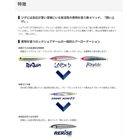 YAMASHITA Lure Rerise S130 B49D Transparent Sardine 612738