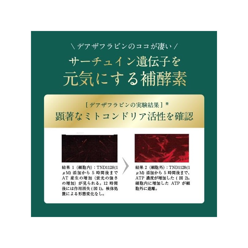 【国産デアザフラビン】『デアザフラビン粒』【5デアザフラビン＋5ALA@＋コエンザイムQ10 配合】