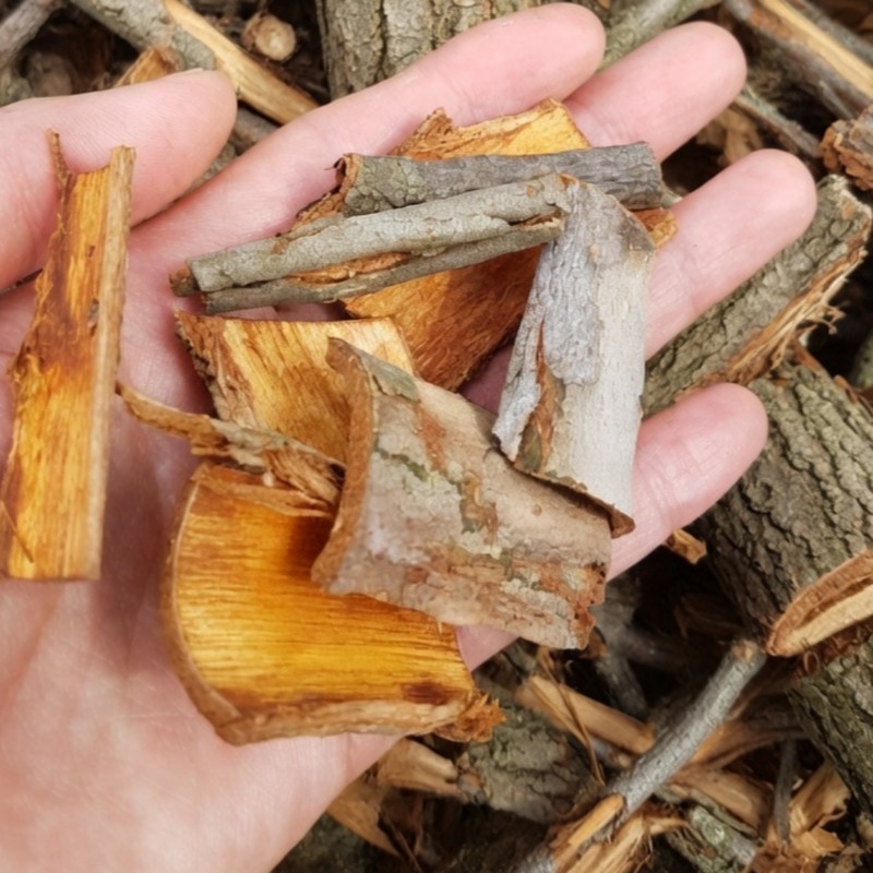 국산 유근피 느릅나무 뿌리 껍질차 코나무 Korean Ulmus Hookeriana Bark