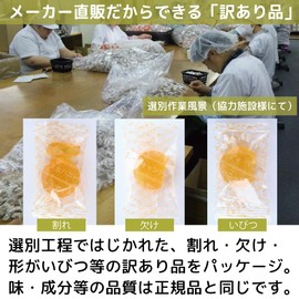 【訳あり】ソーキ マヌカハニーキャンディ 300g MGO 573+ 乳酸菌 オリゴ糖 レモン