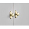 Goo-Ki 6 Pack Brushed Brass Cabinet Knobs with Backplate Zinc