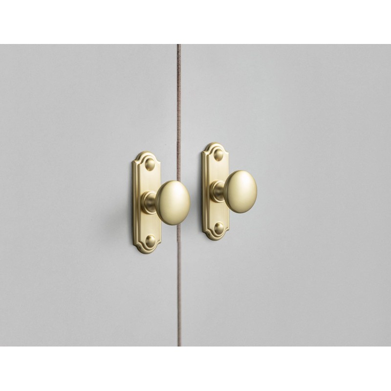 Goo-Ki 6 Pack Brushed Brass Cabinet Knobs with Backplate Zinc
