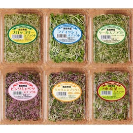 Sprout, 6 Types, 12 Pack Set