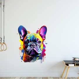 GRAZDesign Wall Tattoo Dog French Bulldog Colourful Cool Wall Sticker for Teenager's Room, Children's Room, Living Room Wall Sticker - 38 x 30 cm