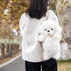 Chongker poodle stuffed animal backpack，poodle dog plush stuffed animals Backpack