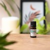 BIO - Peppermint Essential Oil - 5mL - 100% Pure,