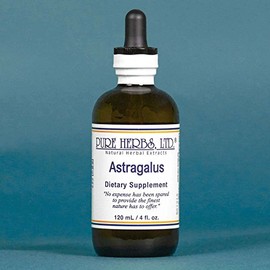 Astragalus