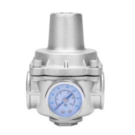 DERPIPE Pressure Regulator Water Valve - 1" NPT Female Stainless Steel 304 Pressure Reducer with Gauge, Adjustable Lead-Free Valve For RV, Garden, Air.