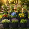 10 Gallon Grow Bags, Heavy Duty Fabric Pots with Handles