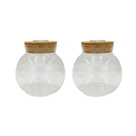 Silver Circle Products Unique Gardener: Glass Terrarium 2 Pack - 4'' with Cork & 3 LEDs - Light-Up Cork, Gardening Planter, Glass, for Succulents, Flowers & More