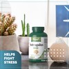 Vorst VORST Astragalus 6000mg Raw Equivalent (1500mg With 4:1 Extract