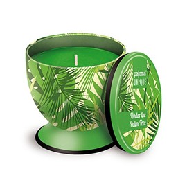 Pajoma Duftkerze UNIQUE ''Under the Palm Tree'', 240 g, Premium Duftkerze mit hohem Duftanteil, verschließbar, Brenndauer: 40 Stunden