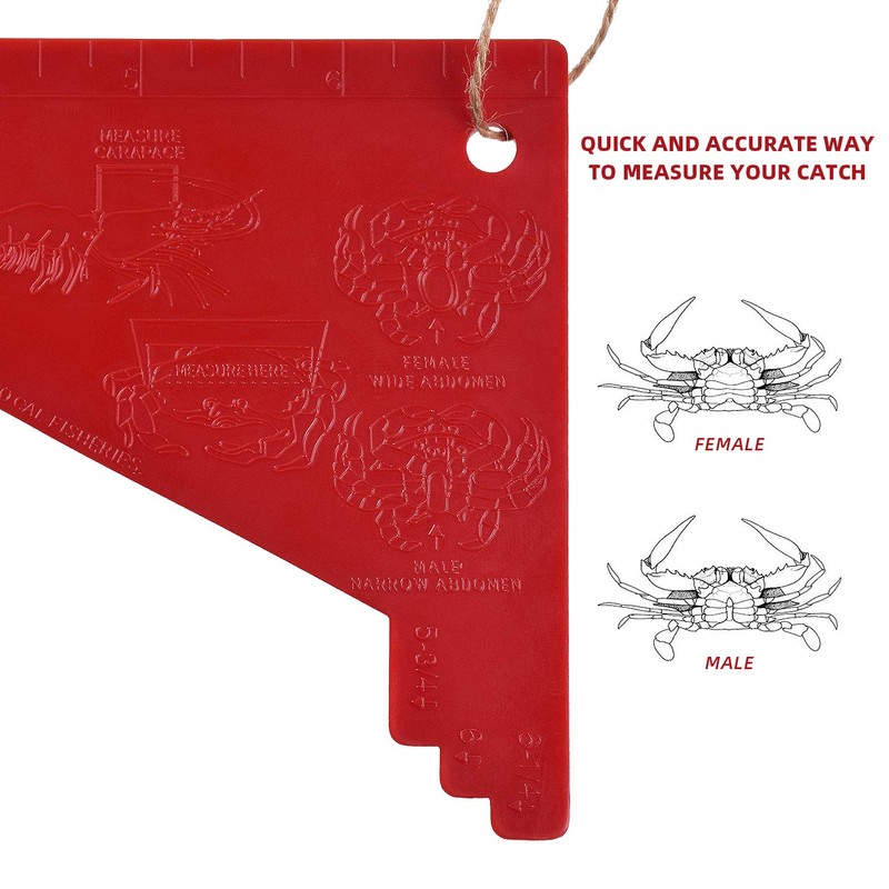 A1FISHER Dungeness Crab Gauge Measure with Ruler Multi Shrimp Clam