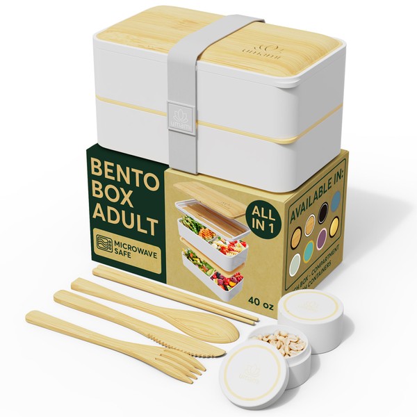 Umami Bento Box Adult Lunch Box | All You Need