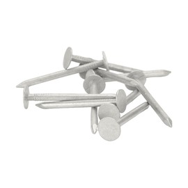 Galvanised Clout Nails Extra Large Head - 30mm (Pack of 100)