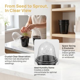 Kisangel 10 macetas Tipo Vaso: Maceta de vivero con cúpula Transparente - Bandeja Reutilizable para germinar Semillas y propagar hortalizas Mediante esquejes (Negro)