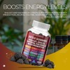 Sugar Free Zeolite Detox Gummies Shilajit Saffron Probiotics Chlorella Psyllium