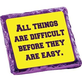 College Care Package - Chocolate Covered Graham Crackers - 12 piece