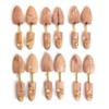 Cedar Elements Little Wholesale Program - Split-Toe Cedar Shoe Trees