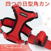 Rabbitgoo Cat Harness and Leash Set, Escape Proof, Soft Chest