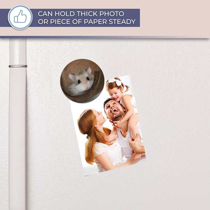 Destination Vinyl ltd Magnet for Refrigerator, Fridge - Cute Little