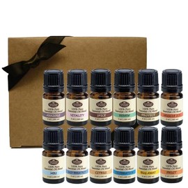 Fabulous Frannie Start Set Pure Essential Oil Blends 12-5ml Bug Away, Muscle Ice, Celebration, Easy Breathzy, MBS (Mind Body Soul), Protect (Compared to Thieves), Renew, Vitality, Citrus, Fruit, Spice
