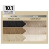 Alfaparf Milano Il Salone Plex Rebuilder Colour Kit 10.1 Extra