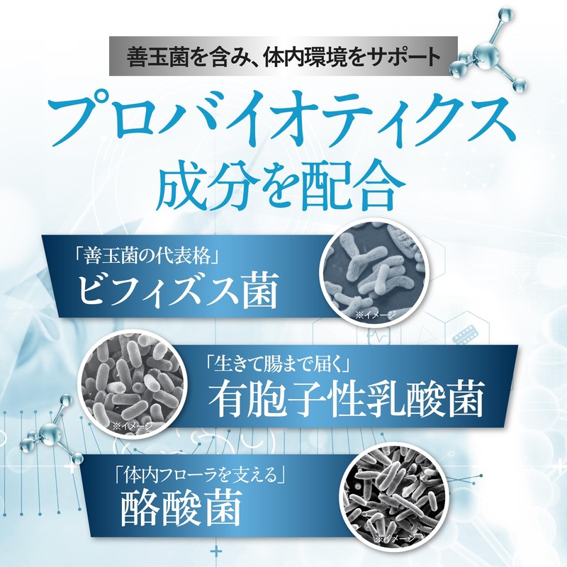 【生きた乳酸菌】10兆個 22種類 BIOLAC(30日分/30カプセル) ビフィズス菌 有胞子性 酪酸菌 フェカリス菌 イヌリン オリゴ糖 プロバイオティクス