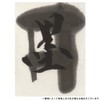 呉竹 書道液 磨りおろし 生墨 翰墨自在 250g CB8-25