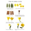 Crepe Paper Tulip DIY Flower Making Kit 12 pcs (Pink)