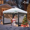 Acepic Clear Canopy Sidewalls for 10x10 Pop Up Tent, Transparent