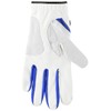 FootJoy GT Extreme Men's Golf Gloves, multicolor (white / blue)