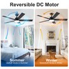 Rayqueen 52 Inch Ceiling Fans with Lights and Remote, Black