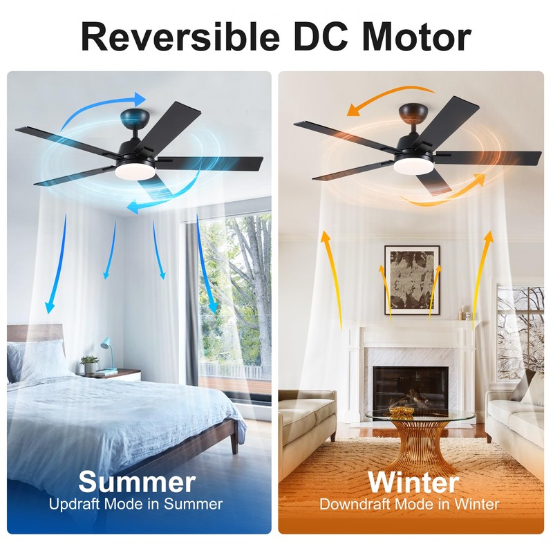 Rayqueen 52 Inch Ceiling Fans with Lights and Remote, Black