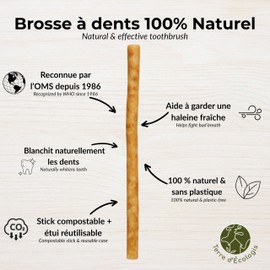 Pack of 5 Natural Siwaks + 1 Case - Natural Dental Cleaning - Salvadora Persica - Pakistan Origin - Zero Waste Hygiene