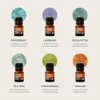 Cliganic Set de 6 Aceites Esenciales Orgánicos The Essentials 15