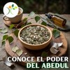 Xenivalle - Abedul Hojas Secas Natural para Té e Infusiones