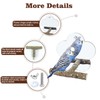 Sirvarni Bird Mirror with Perch Stand InteractiveToys Cage Accessories for